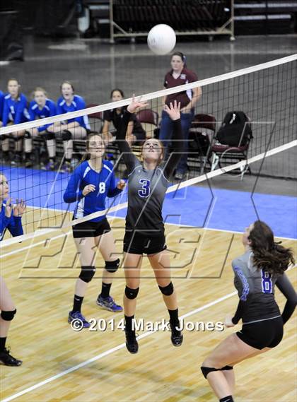 Thumbnail 2 in Red Rock vs. Northland Prep Academy (AIA D4 Playoff) photogallery.