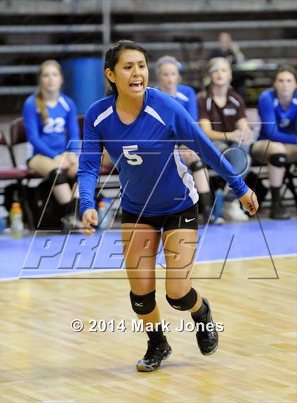 Thumbnail 1 in Red Rock vs. Northland Prep Academy (AIA D4 Playoff) photogallery.