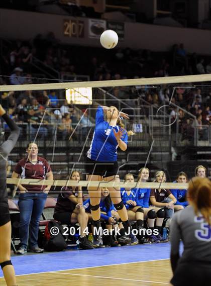 Thumbnail 1 in Red Rock vs. Northland Prep Academy (AIA D4 Playoff) photogallery.