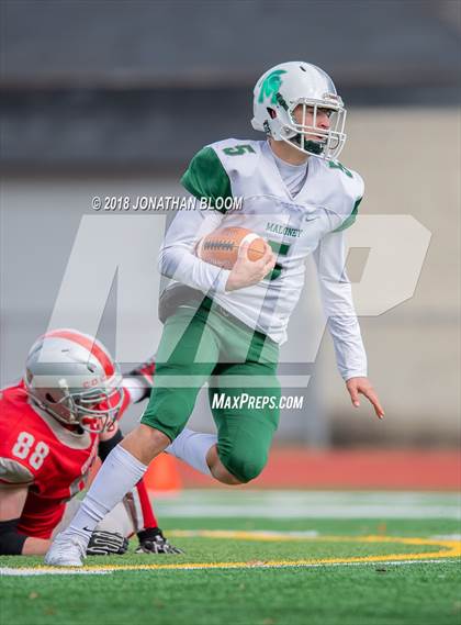 Thumbnail 1 in Maloney @ Conard photogallery.
