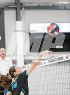 Photo from the gallery "El Camino vs. Olympian (Nike TOC Southwest)"
