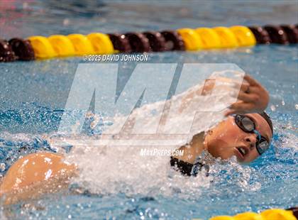 Thumbnail 3 in Candy Cane Invite photogallery.