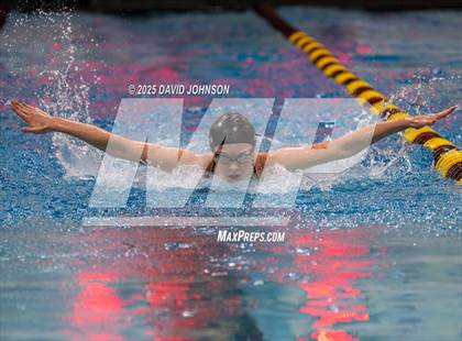 Thumbnail 2 in Candy Cane Invite photogallery.