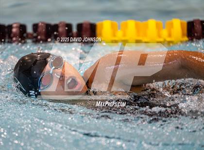 Thumbnail 3 in Candy Cane Invite photogallery.