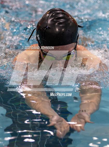 Thumbnail 1 in Candy Cane Invite photogallery.