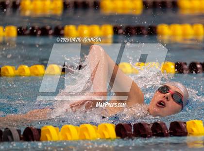 Thumbnail 1 in Candy Cane Invite photogallery.