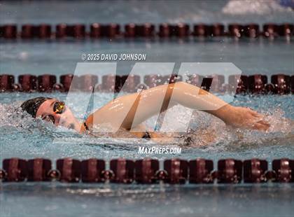 Thumbnail 2 in Candy Cane Invite photogallery.