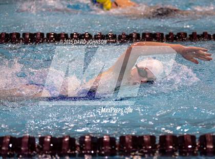 Thumbnail 1 in Candy Cane Invite photogallery.