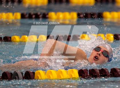 Thumbnail 3 in Candy Cane Invite photogallery.