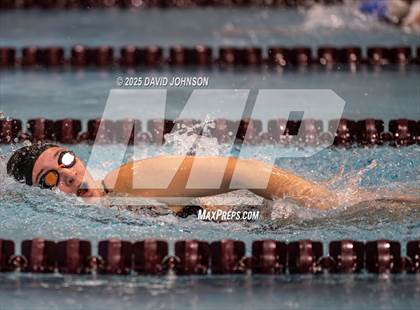 Thumbnail 1 in Candy Cane Invite photogallery.