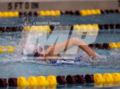 Thumbnail 1 in Candy Cane Invite photogallery.