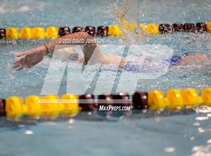 Thumbnail 1 in Candy Cane Invite photogallery.