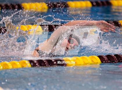 Thumbnail 1 in Candy Cane Invite photogallery.