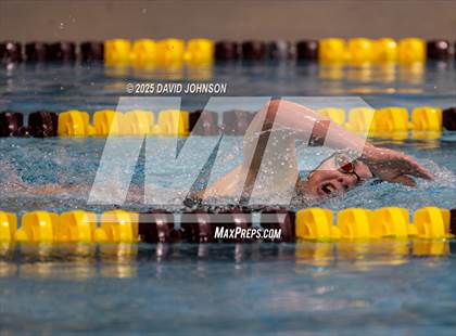 Thumbnail 1 in Candy Cane Invite photogallery.