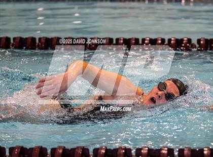 Thumbnail 2 in Candy Cane Invite photogallery.