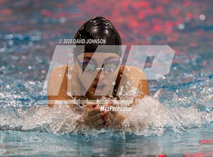 Thumbnail 1 in Candy Cane Invite photogallery.