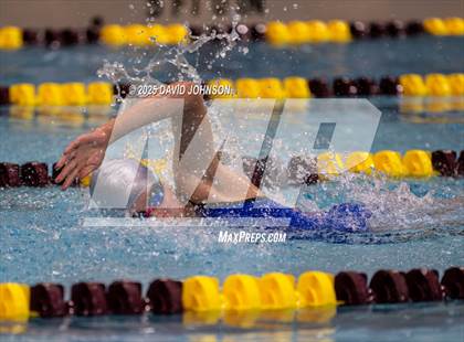 Thumbnail 2 in Candy Cane Invite photogallery.