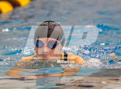 Thumbnail 2 in Candy Cane Invite photogallery.