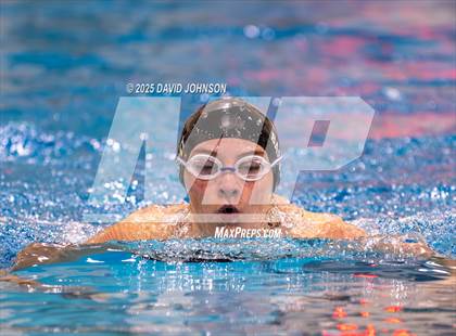 Thumbnail 2 in Candy Cane Invite photogallery.