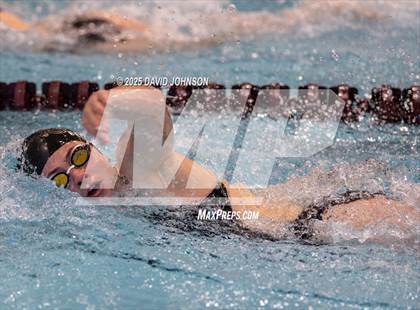 Thumbnail 3 in Candy Cane Invite photogallery.