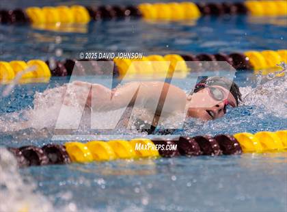 Thumbnail 2 in Candy Cane Invite photogallery.