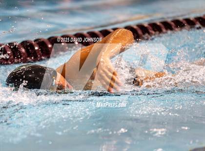 Thumbnail 3 in Candy Cane Invite photogallery.