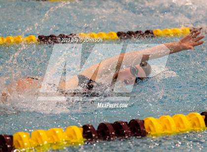 Thumbnail 1 in Candy Cane Invite photogallery.