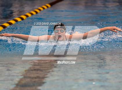 Thumbnail 1 in Candy Cane Invite photogallery.