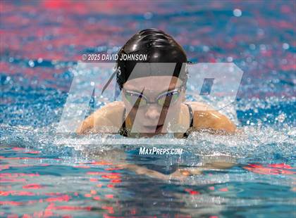 Thumbnail 1 in Candy Cane Invite photogallery.