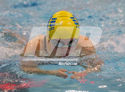 Thumbnail 3 in Candy Cane Invite photogallery.