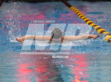 Thumbnail 3 in Candy Cane Invite photogallery.