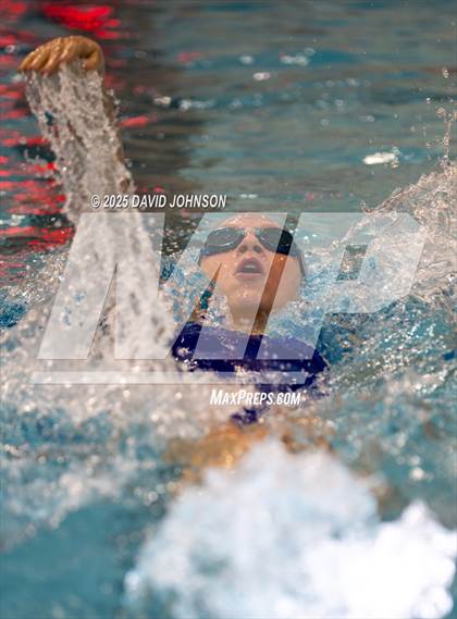 Thumbnail 2 in Candy Cane Invite photogallery.