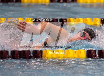 Thumbnail 3 in Candy Cane Invite photogallery.