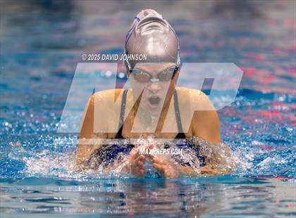 Thumbnail 1 in Candy Cane Invite photogallery.