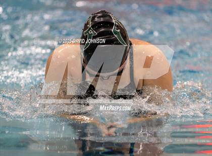 Thumbnail 2 in Candy Cane Invite photogallery.