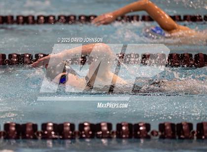 Thumbnail 3 in Candy Cane Invite photogallery.