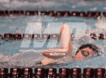 Thumbnail 2 in Candy Cane Invite photogallery.