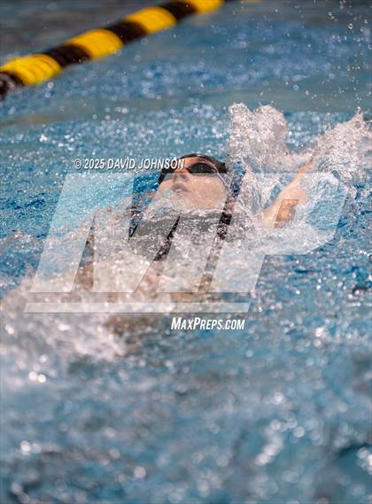 Thumbnail 1 in Candy Cane Invite photogallery.