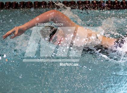 Thumbnail 3 in Candy Cane Invite photogallery.