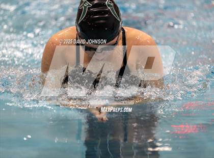 Thumbnail 1 in Candy Cane Invite photogallery.