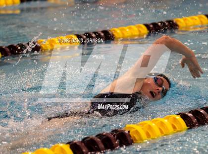 Thumbnail 2 in Candy Cane Invite photogallery.