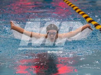 Thumbnail 1 in Candy Cane Invite photogallery.