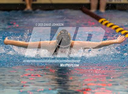 Thumbnail 2 in Candy Cane Invite photogallery.