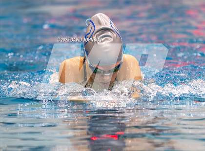 Thumbnail 3 in Candy Cane Invite photogallery.