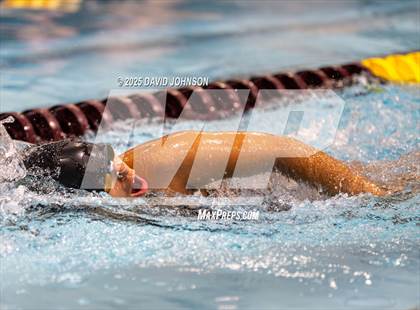 Thumbnail 2 in Candy Cane Invite photogallery.