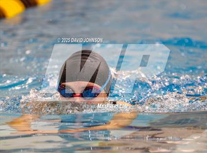 Thumbnail 3 in Candy Cane Invite photogallery.