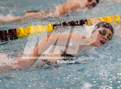 Thumbnail 1 in Candy Cane Invite photogallery.