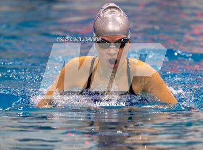 Thumbnail 2 in Candy Cane Invite photogallery.