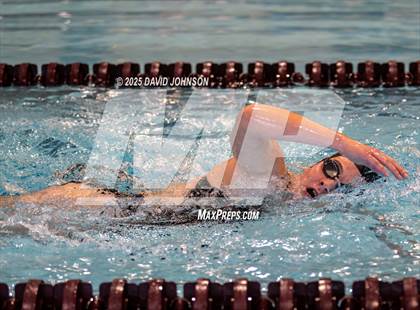 Thumbnail 3 in Candy Cane Invite photogallery.