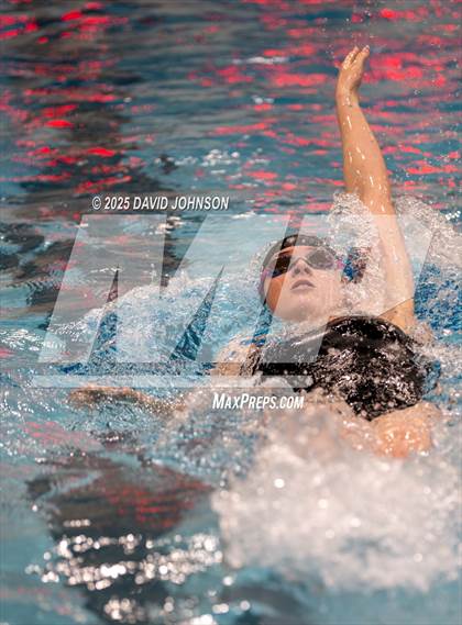 Thumbnail 1 in Candy Cane Invite photogallery.